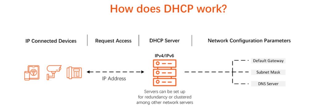 dhcp address assignment process