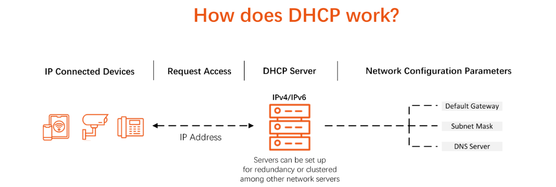 dhcp ip assignment
